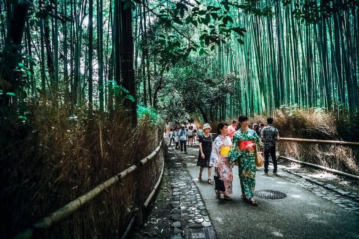 potret Arashiyama Bamboo Grove, Jepang
