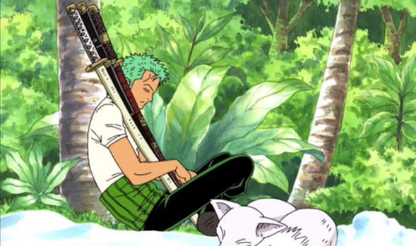 Zoro One Piece