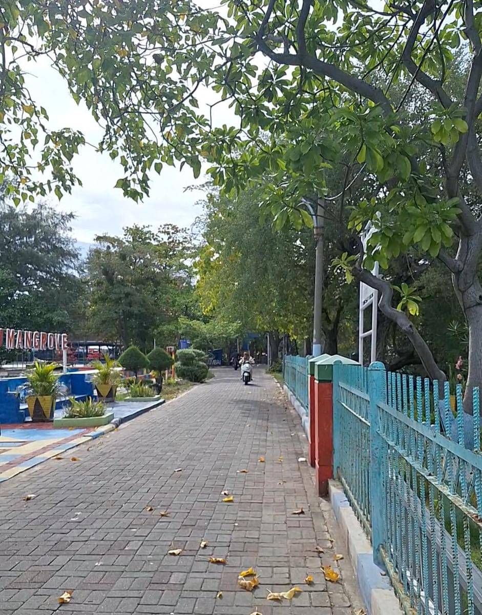 Salah satu sudut Pulau Kelapa di Kepulauan Seribu (IDN Times / Satria Permana)