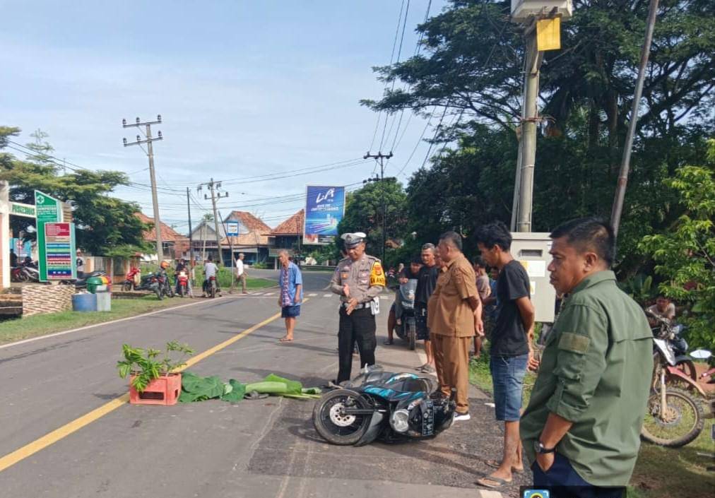 Sat Lantas Polres Muba saat mengecek lokasi kecelakaan.