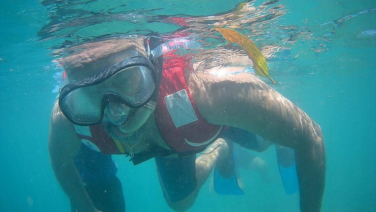 ilustrasi snorkeling