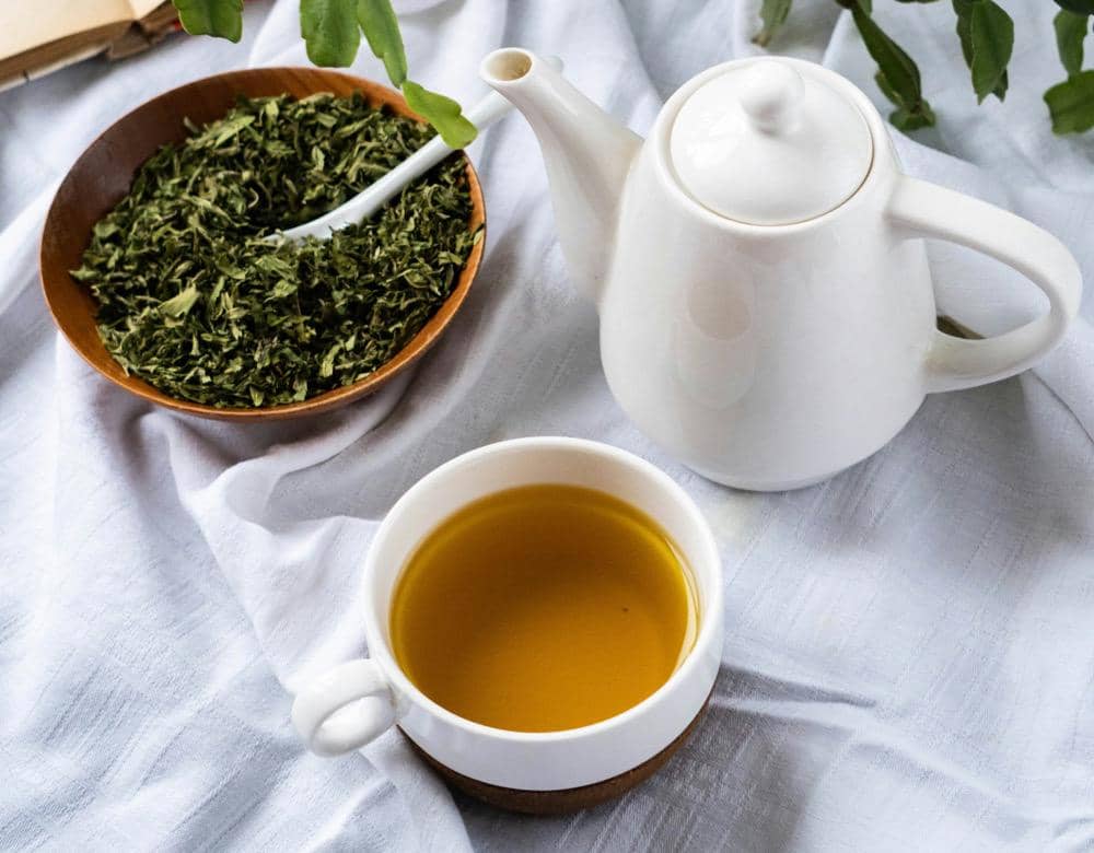 ilustrasi secangkir ocha hangat