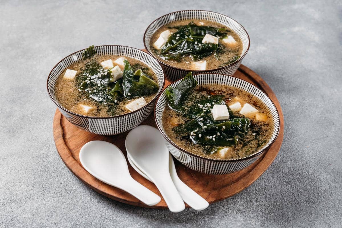 ilustrasi makanan Jepang dengan kuah tsuyu