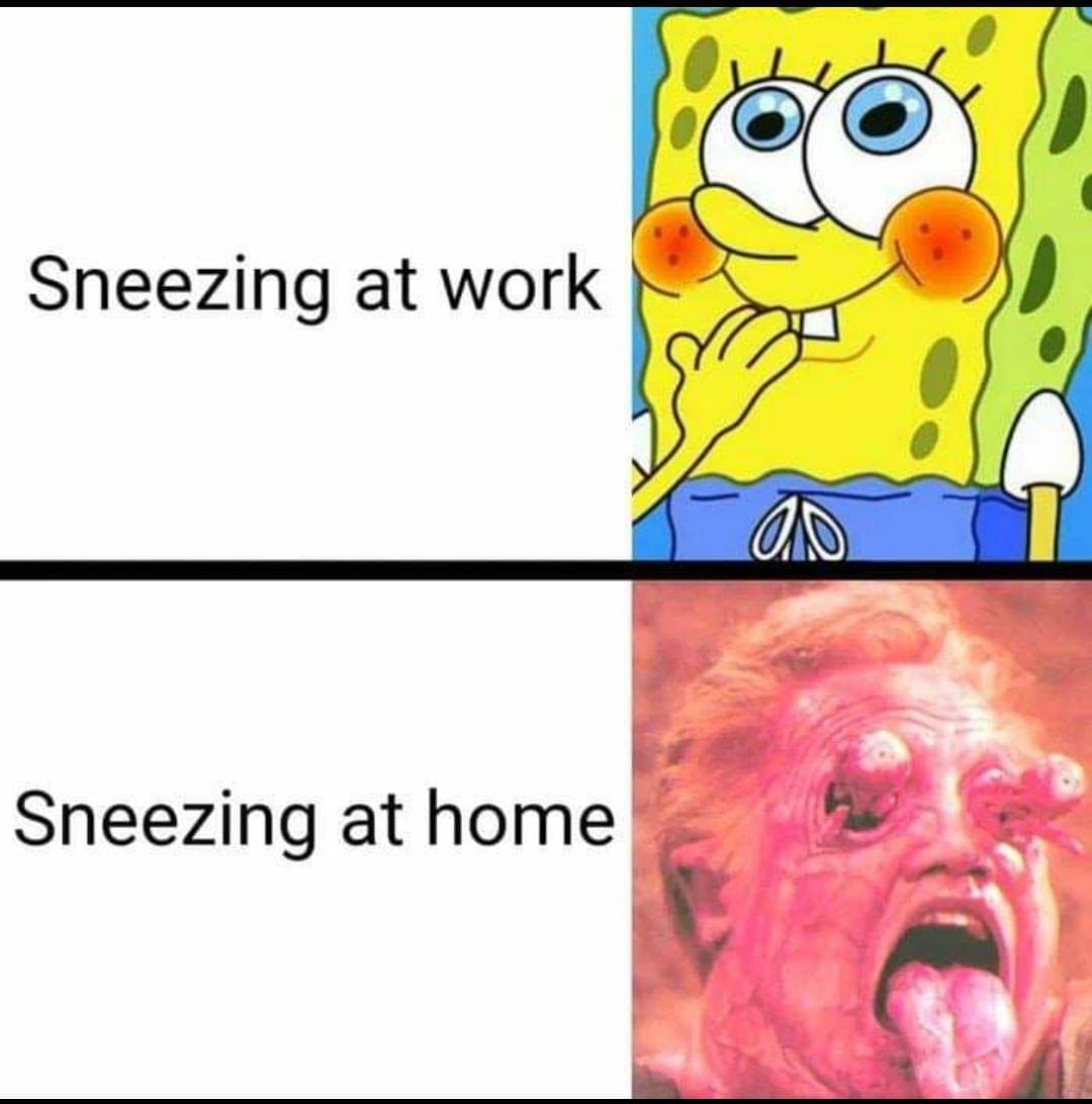 meme kartun tentang bersin