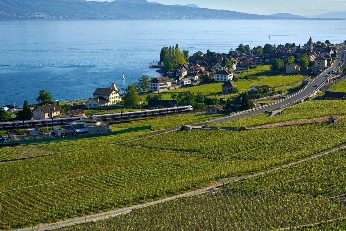 potret Lavaux, kebun anggur yang diakui UNESCO sebagai Warisan Dunia sejak 2007 