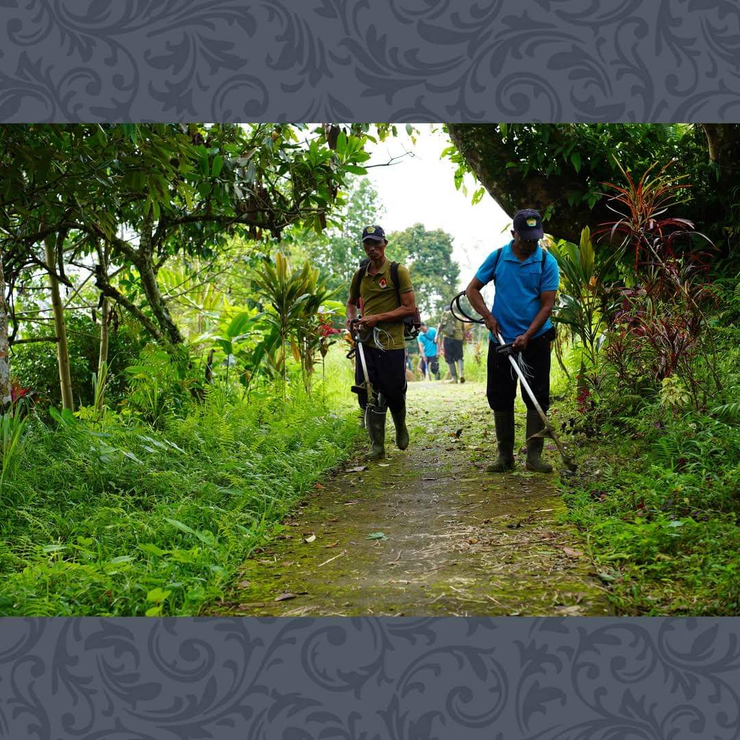 jalan setapak menuju Air Terjun Goa Gong (instagram.com/desa.sulangai)