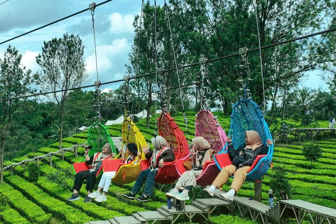 Agrowisata Gunung Mas, Cisarua, Bogor