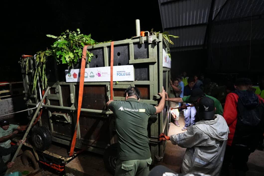 Prajurit TNI dalam Satuan Tugas Operasi Merah Putih Translokasi Badak Jawa berperan aktif dalam upaya penyelamatan dan penguatan populasi Badak Jawa