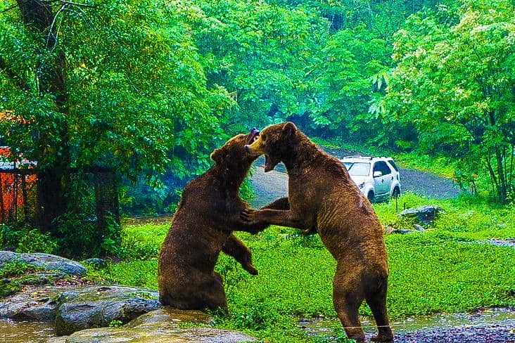 Taman Safari Bogor, Cisarua, Kabupaten Bogor
