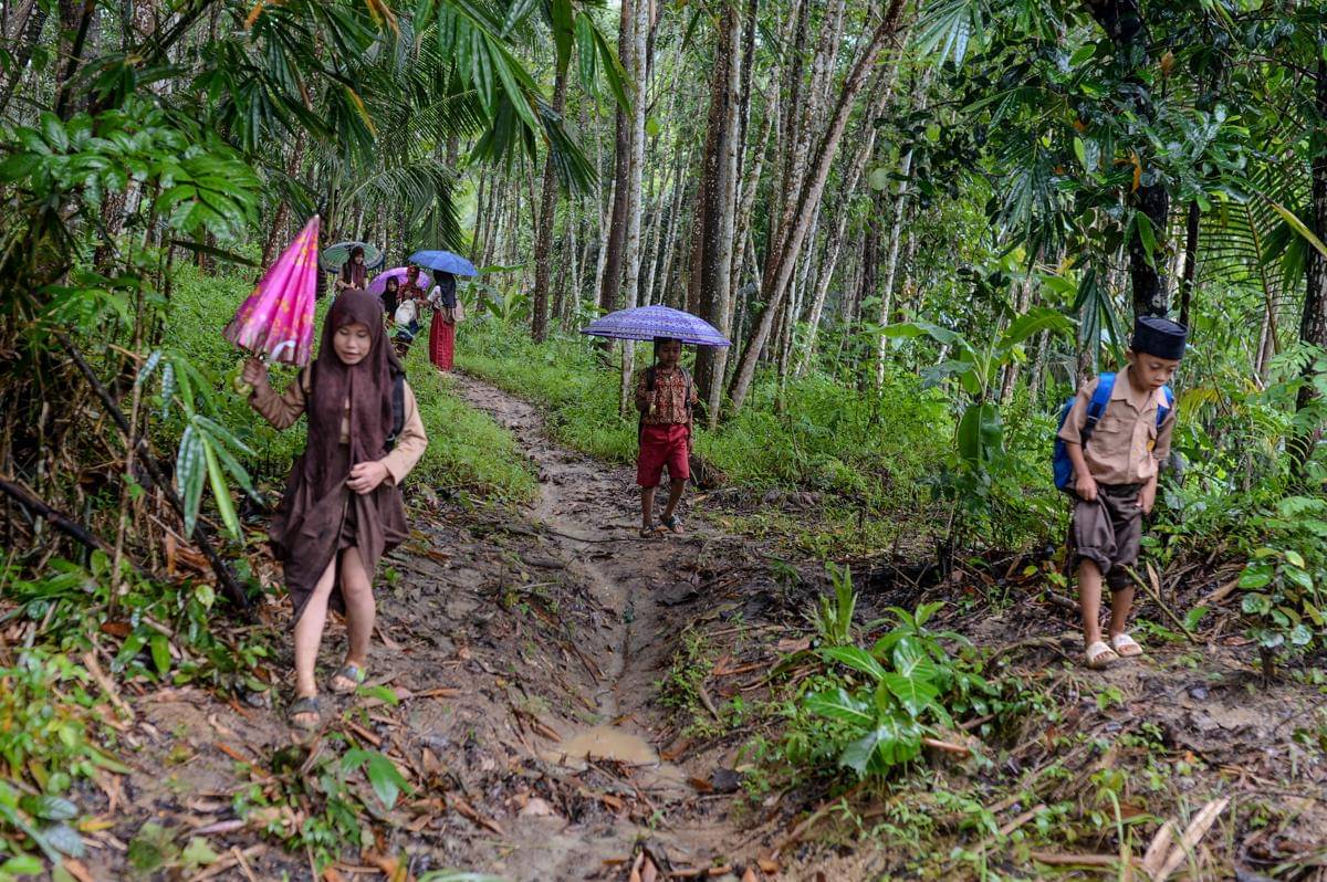 Sejumlah siswa SD Negeri 2 Sorongan berjalan melintasi hutan usai pulang sekolah di Desa Sorongan, Pandeglang, Banten, Kamis (20/11/2025). (ANTARA FOTO/Muhammad Bagus Khoirunas)