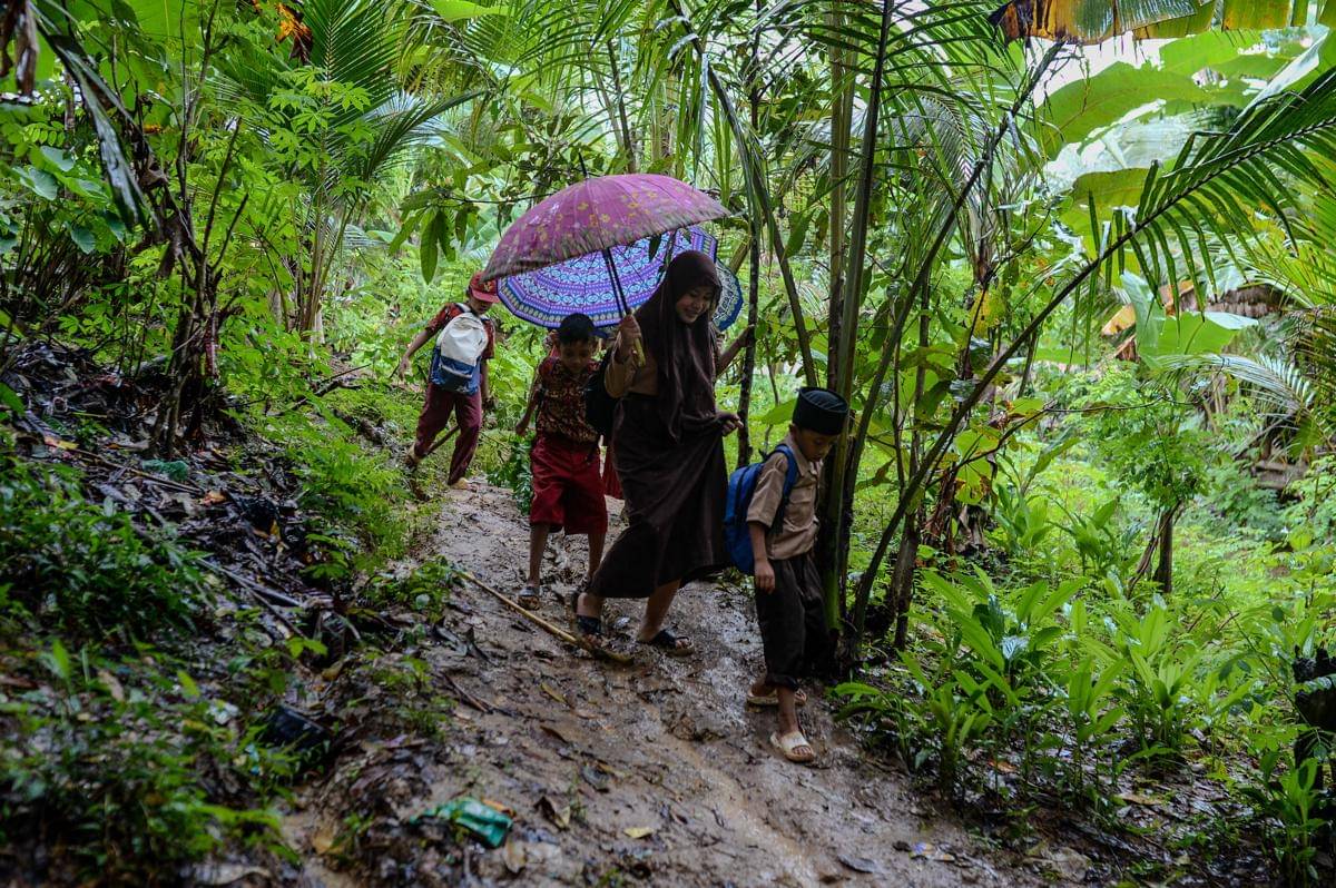 Sejumlah siswa SD Negeri 2 Sorongan berjalan melintasi hutan usai pulang sekolah di Desa Sorongan, Pandeglang, Banten, Kamis (20/11/2025). (ANTARA FOTO/Muhammad Bagus Khoirunas)