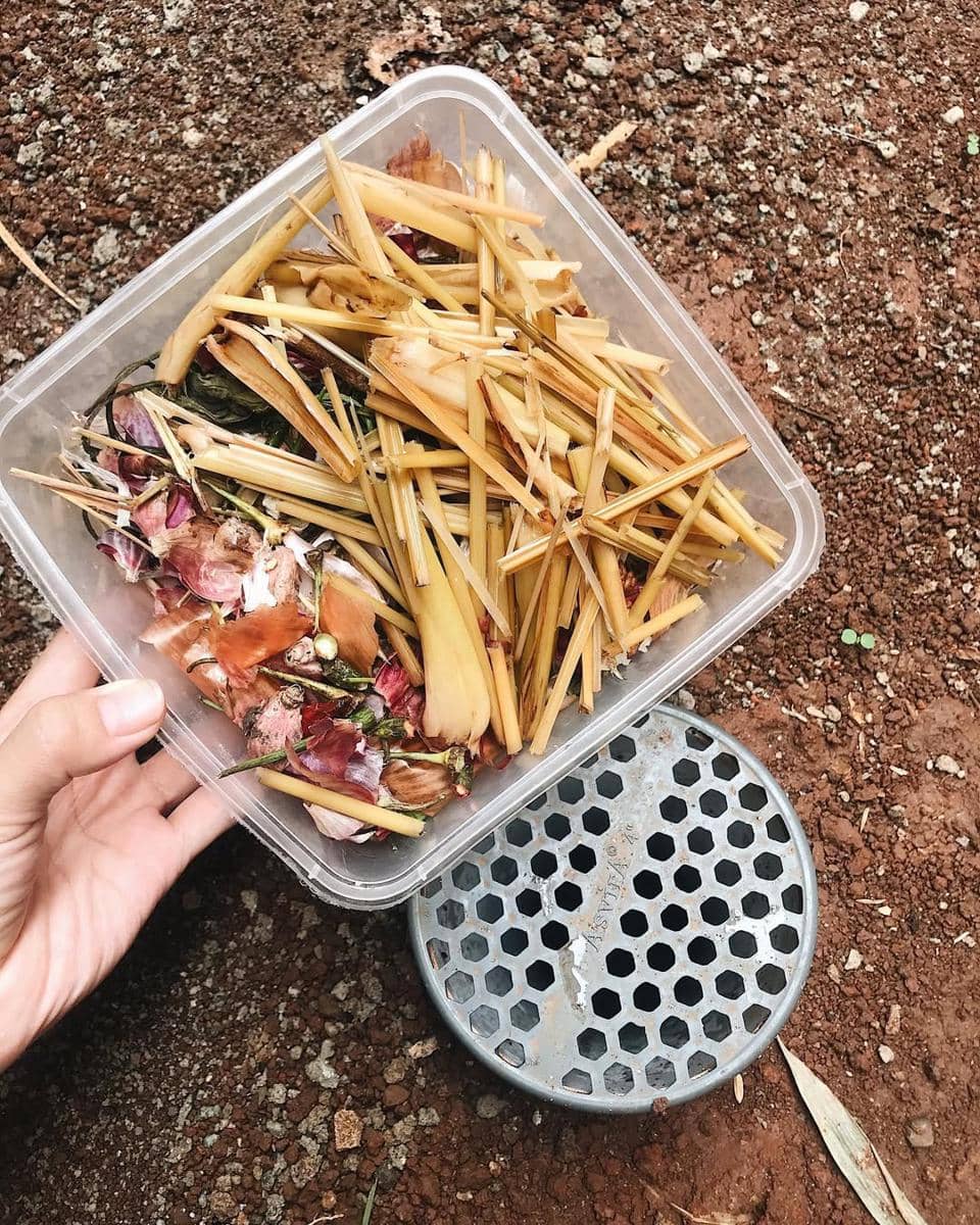 Mengisi lubang dengan sampah organik
