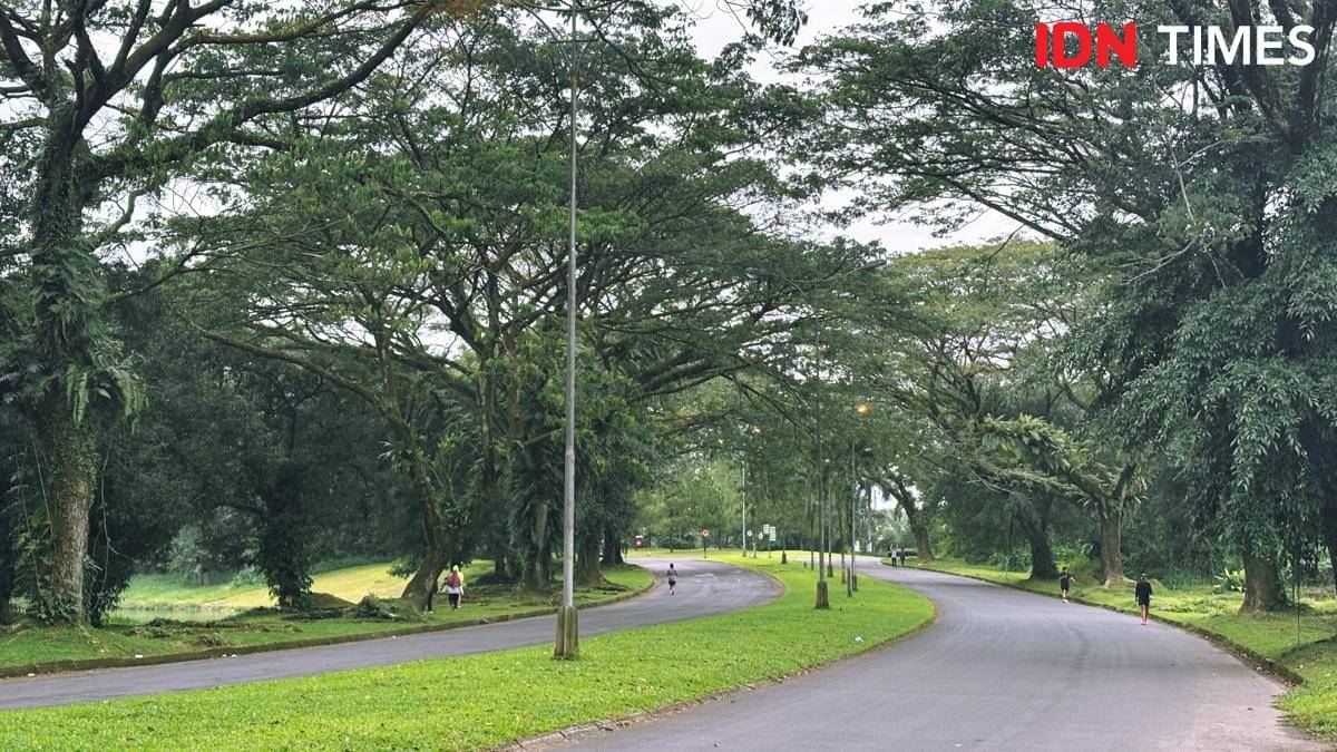 Royal Sumatra (Mangara Wahyudi)