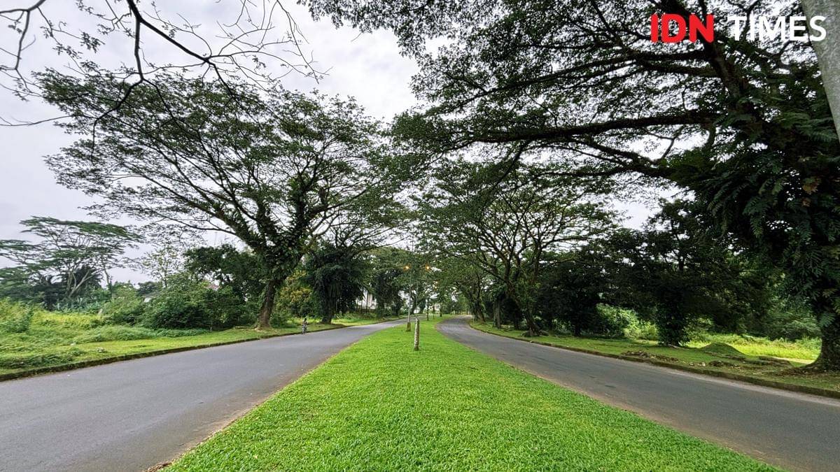 Royal Sumatra (Mangara Wahyudi)