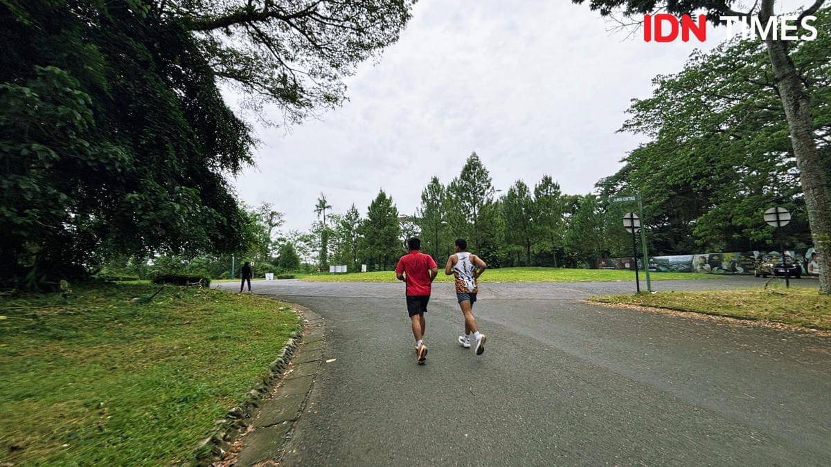 Royal Sumatra (Mangara Wahyudi)