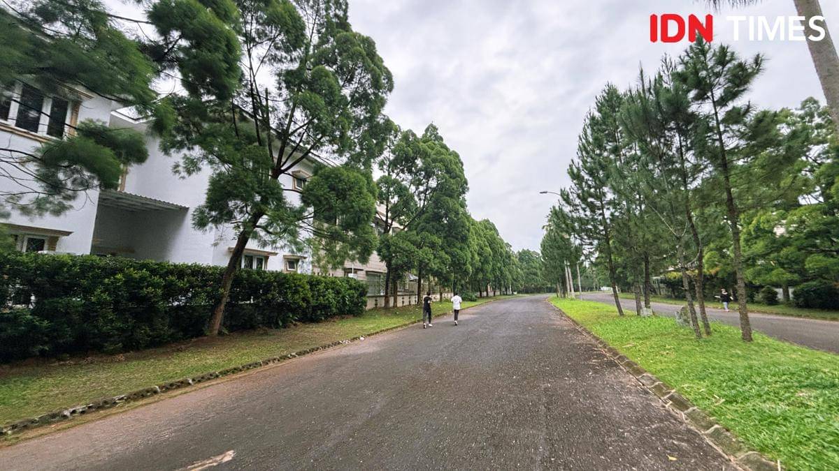 Royal Sumatra (Mangara Wahyudi)