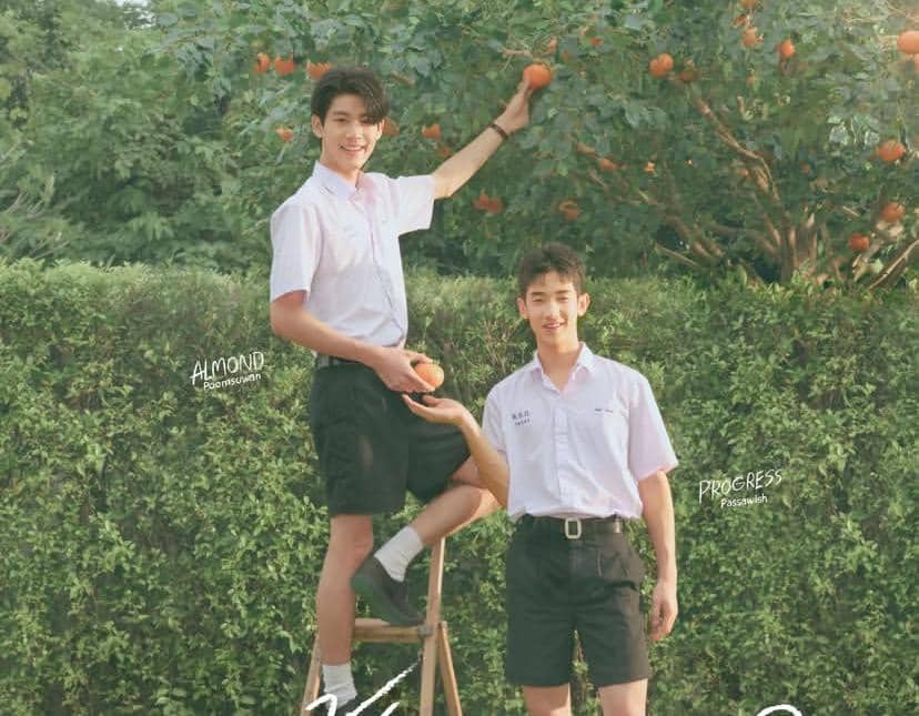 poster drama When Oranges Fall