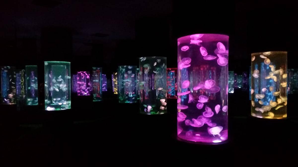 potret Manila Ocean Park