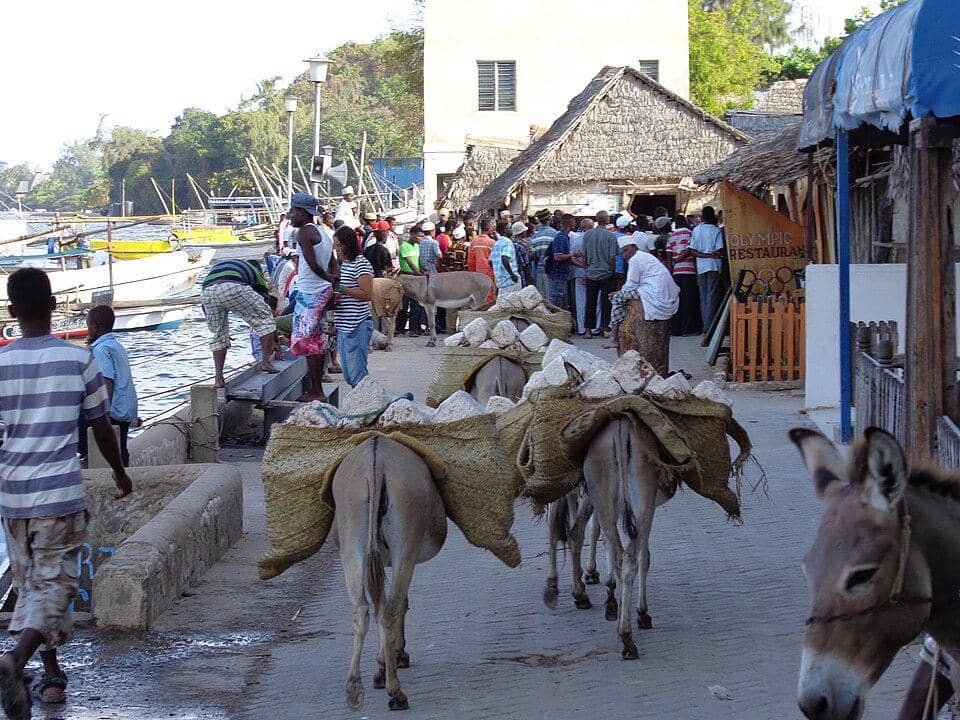 Kota Lamu di Kenya