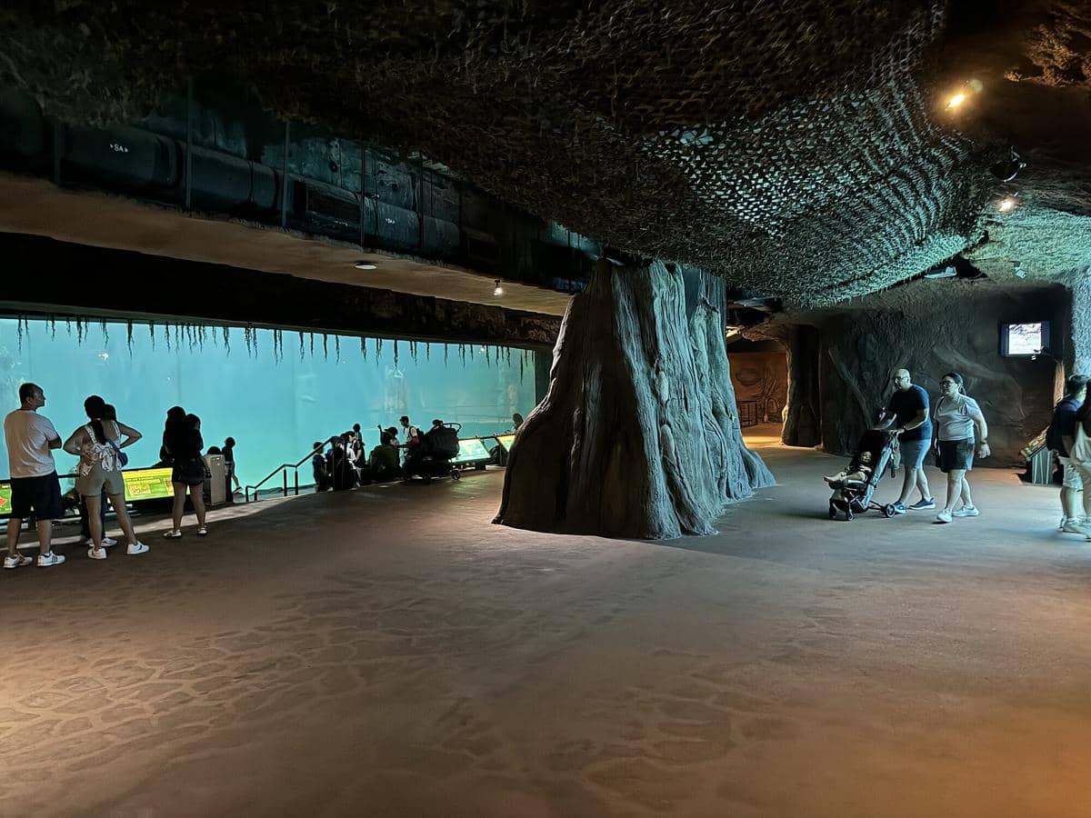 potret River Wonders Singapore