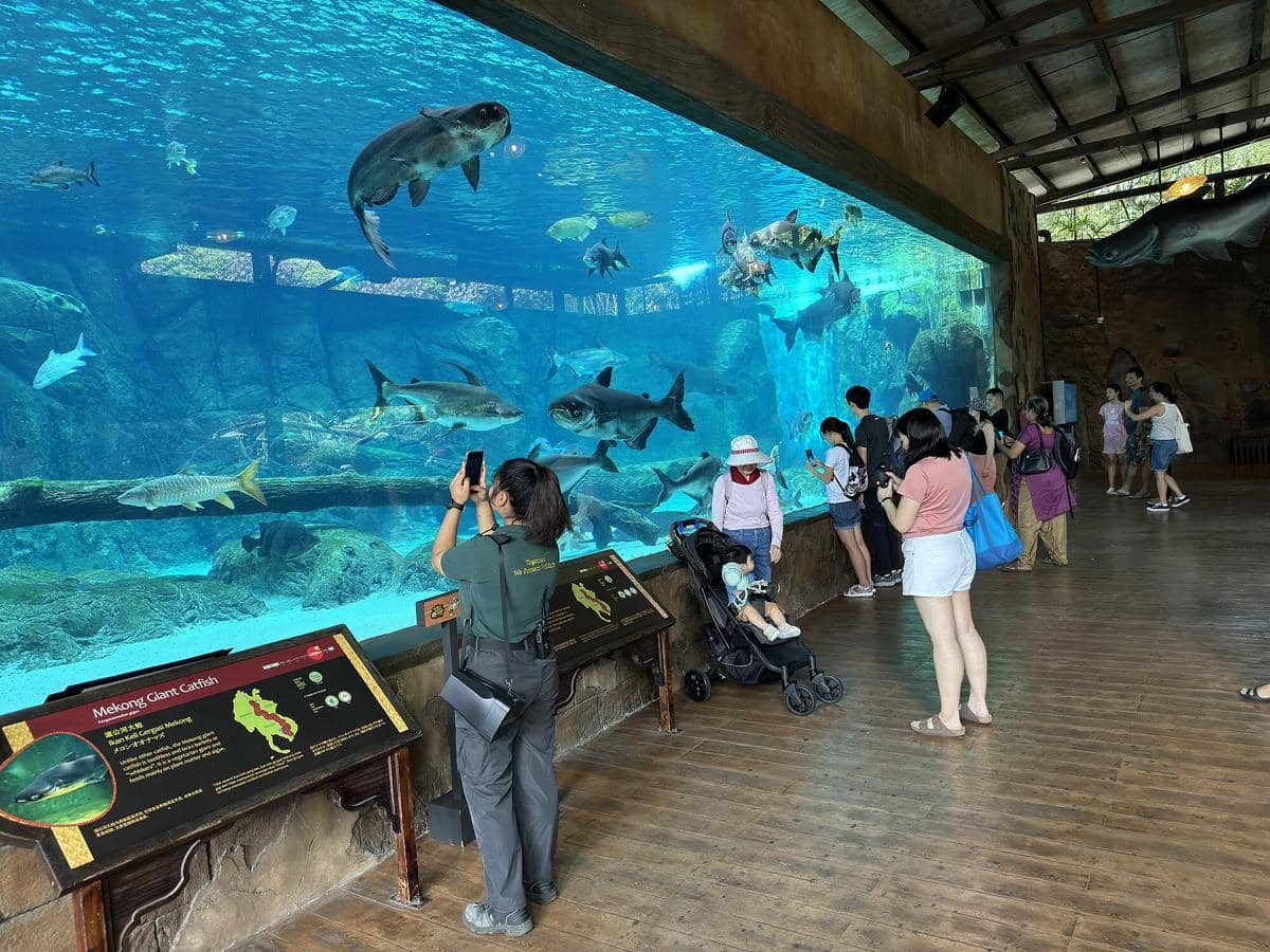 potret River Wonders Singapore