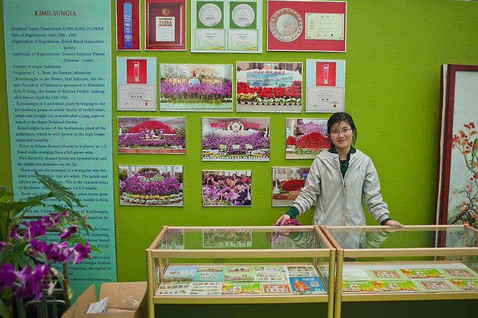salah satu toko bunga yang ada di Korea Utara