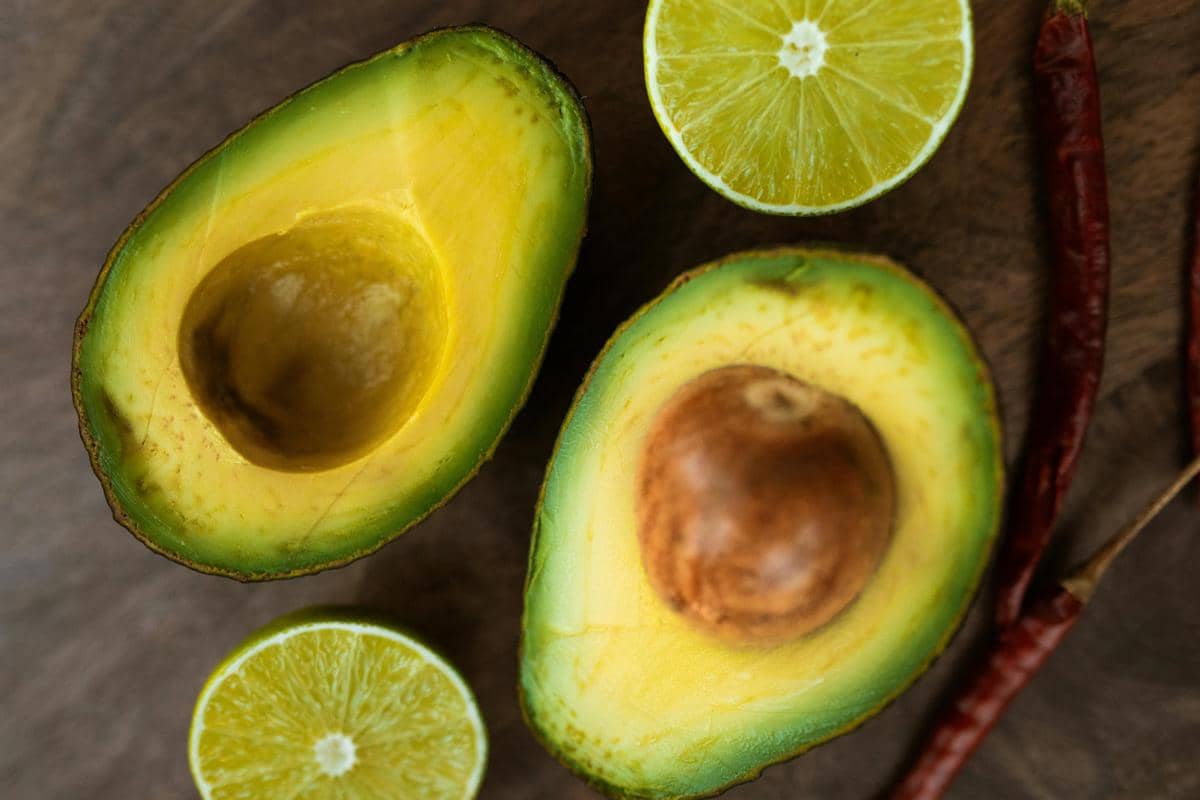 ilustrasi alpukat