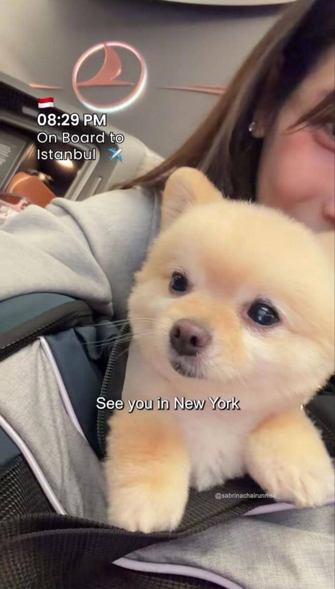 Sabrina Chairunnisa jalan-jalan di New York bareng anabul