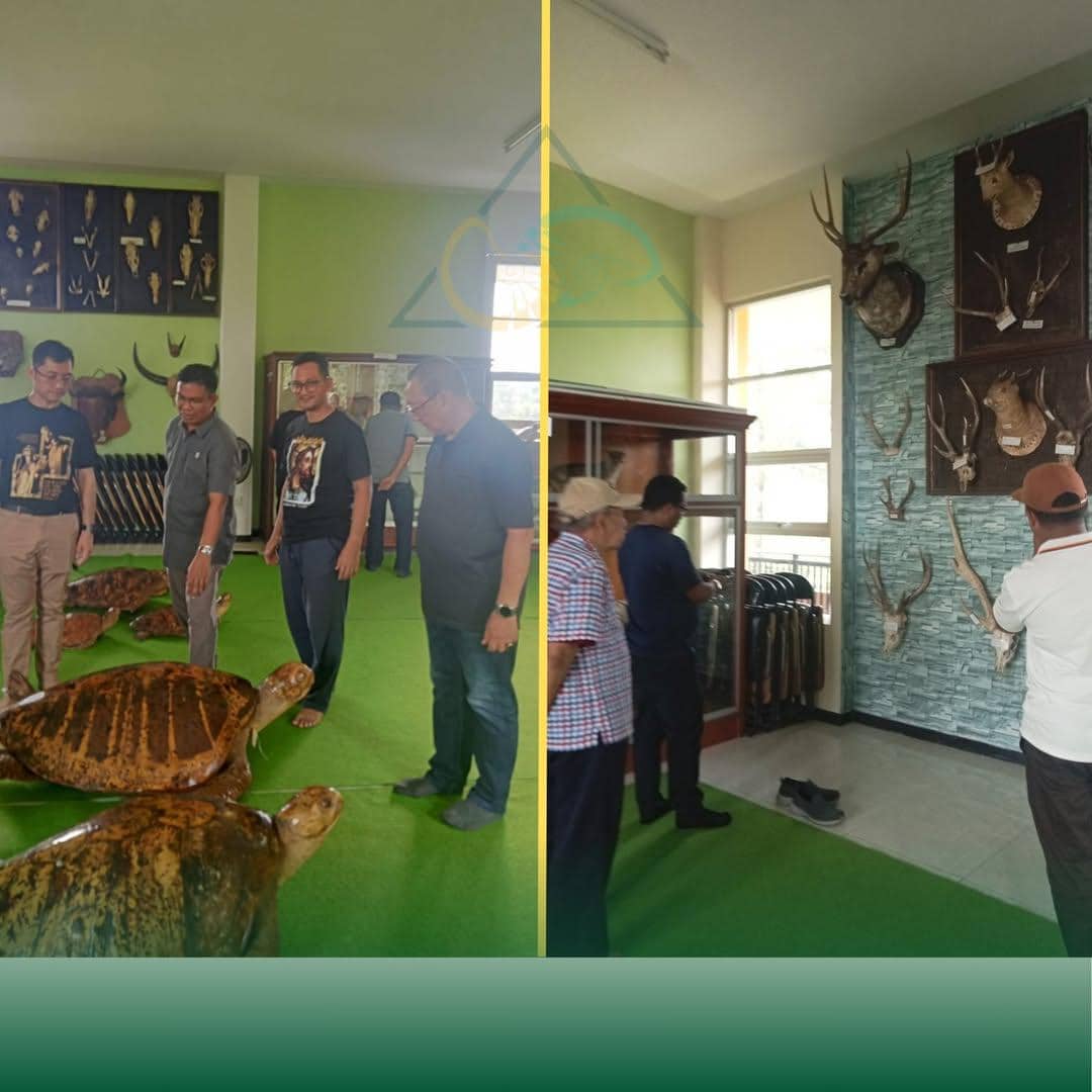 Museum Zoologi Frater Vianney