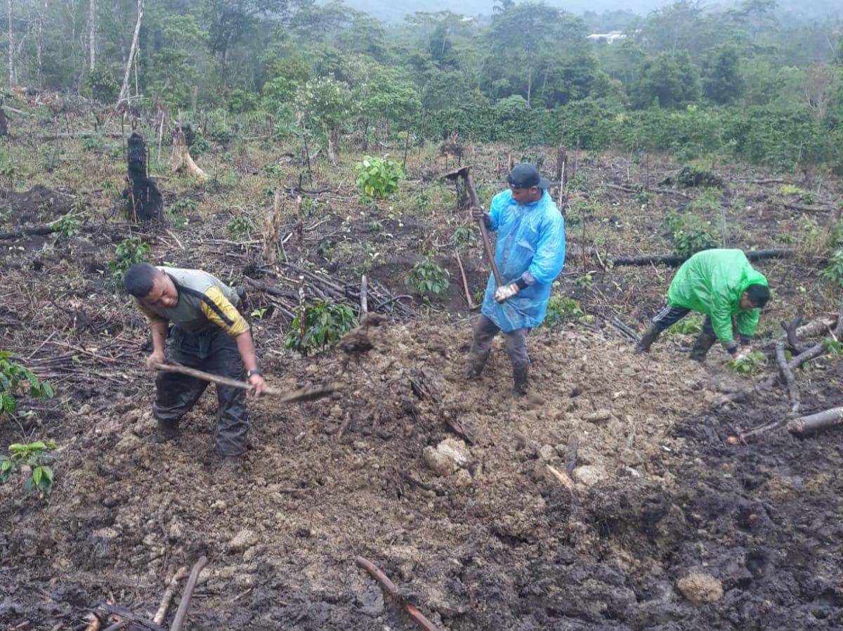 WhatsApp Image 2025-11-25 at 14.39.44.jpeg