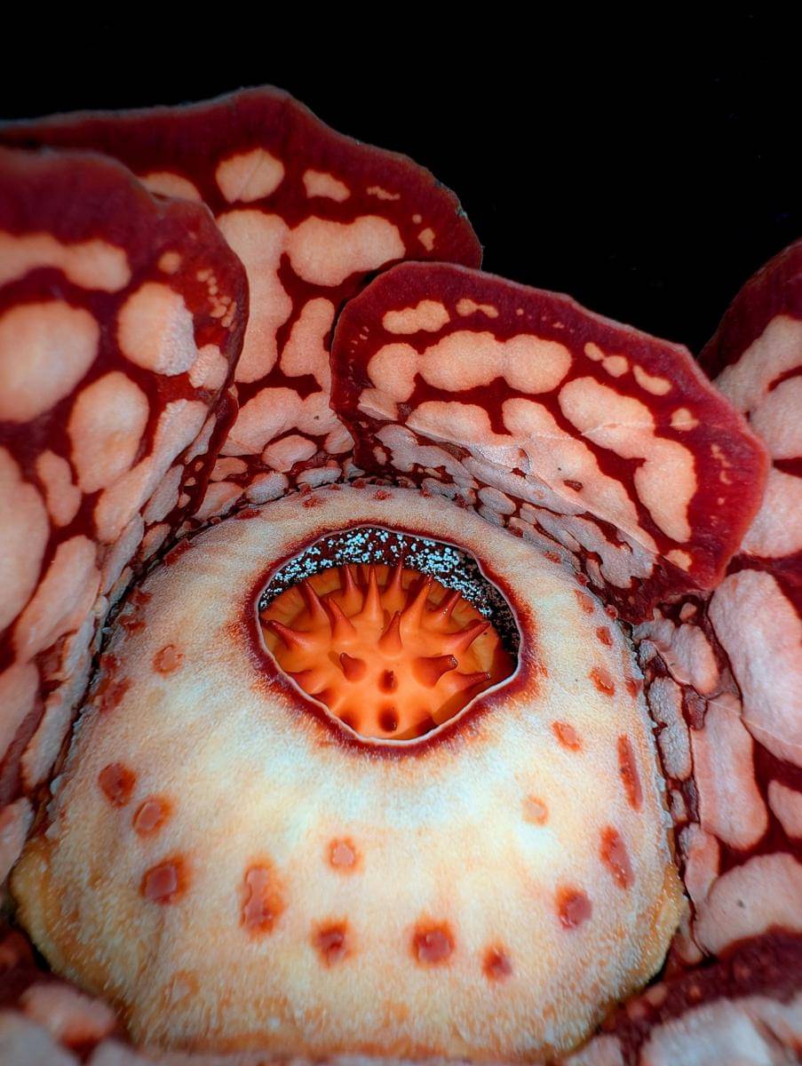 x.com/thorogoodchris1