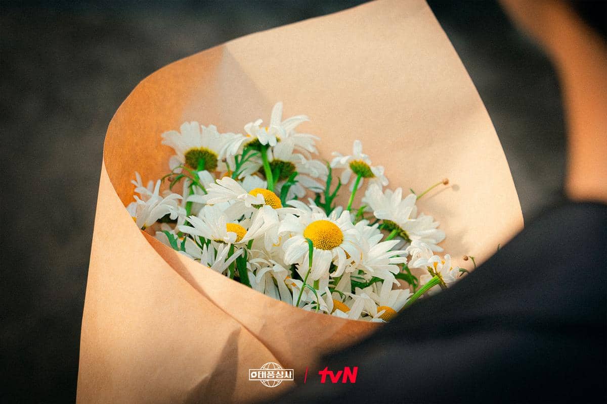 cuplikan drama Typhoon Family