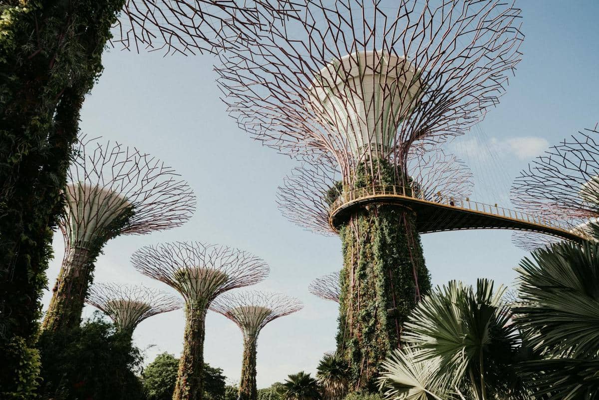 ilustrasi keindahan Gardens by the Bay di Singapura