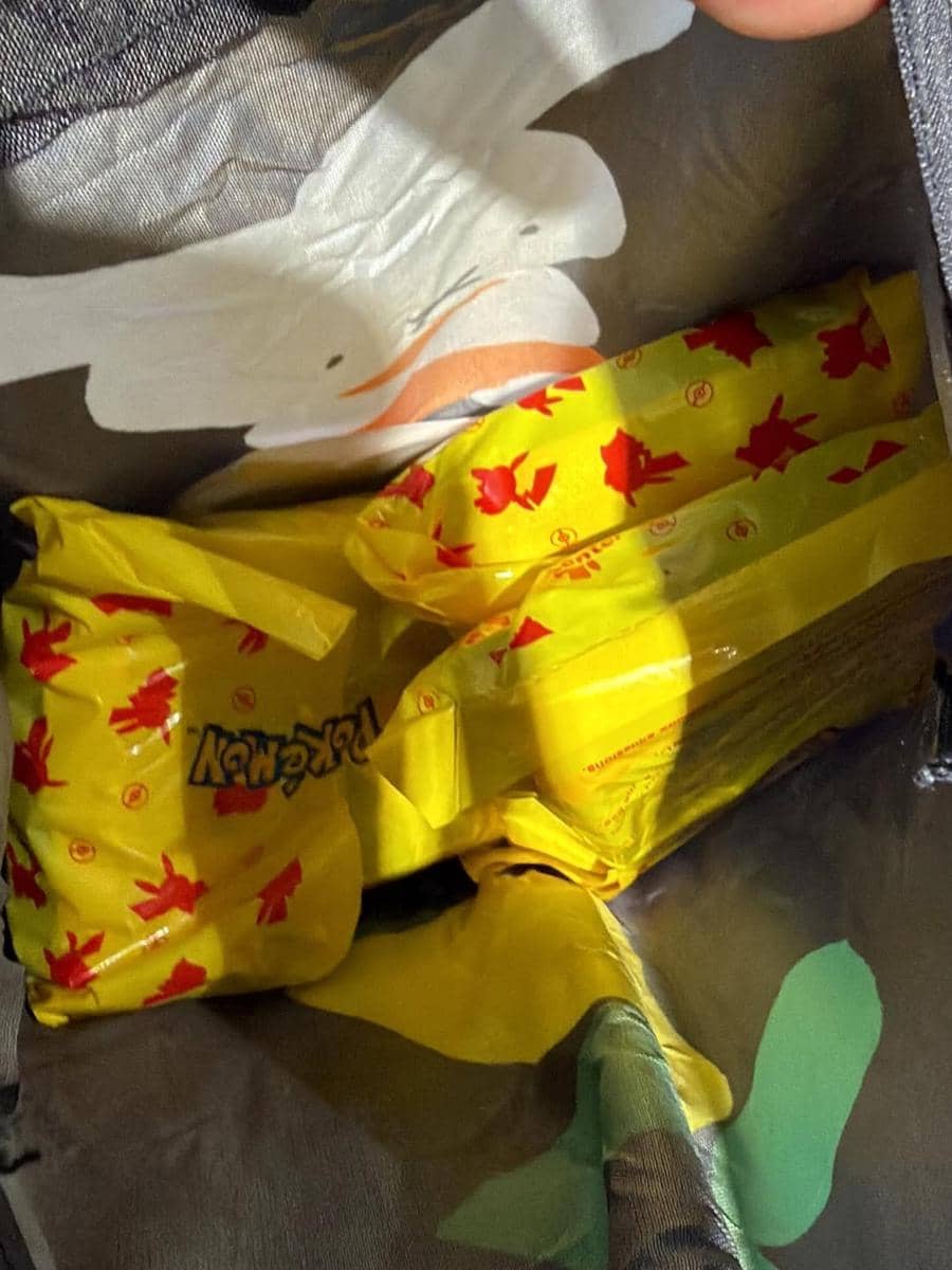 Zee Asadel di Pokémon Center Shibuya, Jepang.