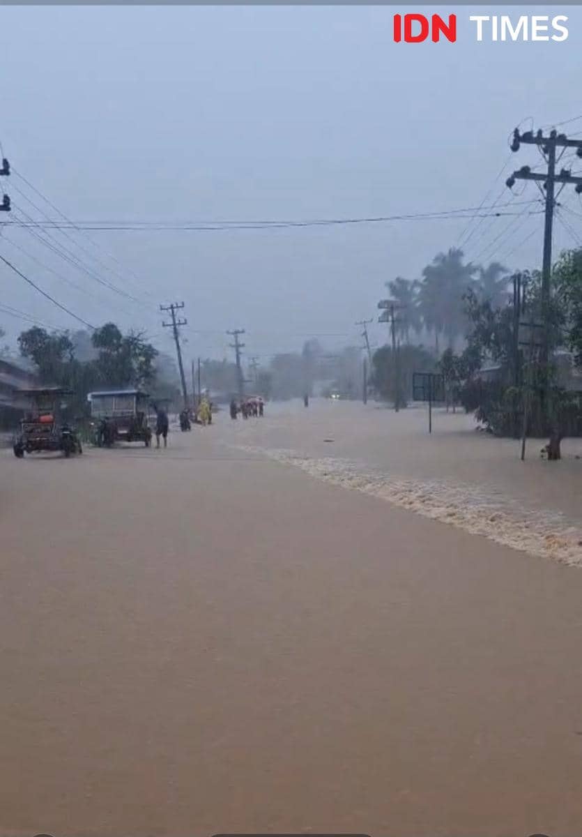 Hujan deras berdampak banjir Langkat dan pohon tumbang melintang Jalan Lintas Sumatera Utara (IDN Times/Bambang Suhandoko)