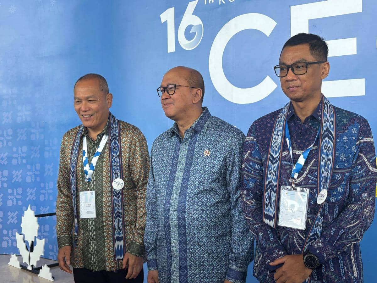 WhatsApp Image 2025-11-26 at 11.30.33.jpeg