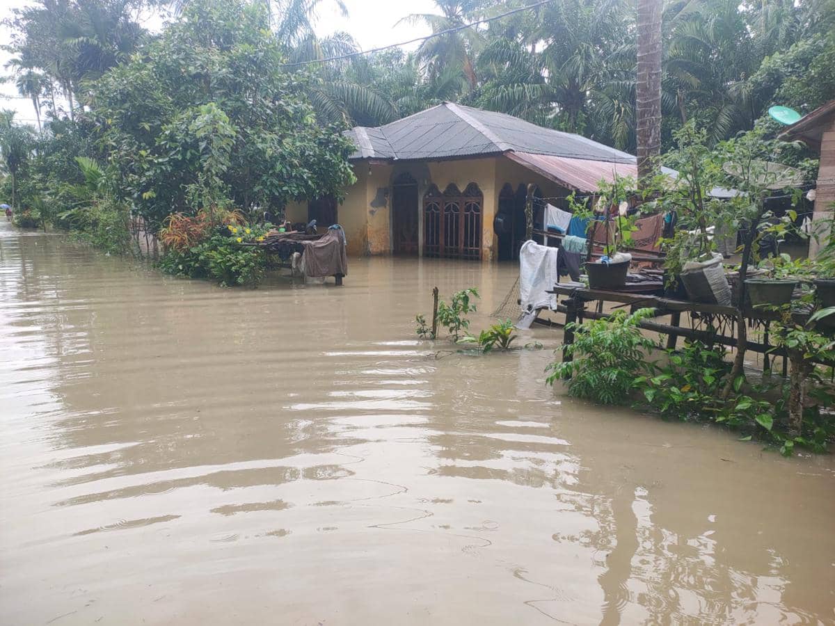 WhatsApp Image 2025-11-23 at 11.41.48.jpeg