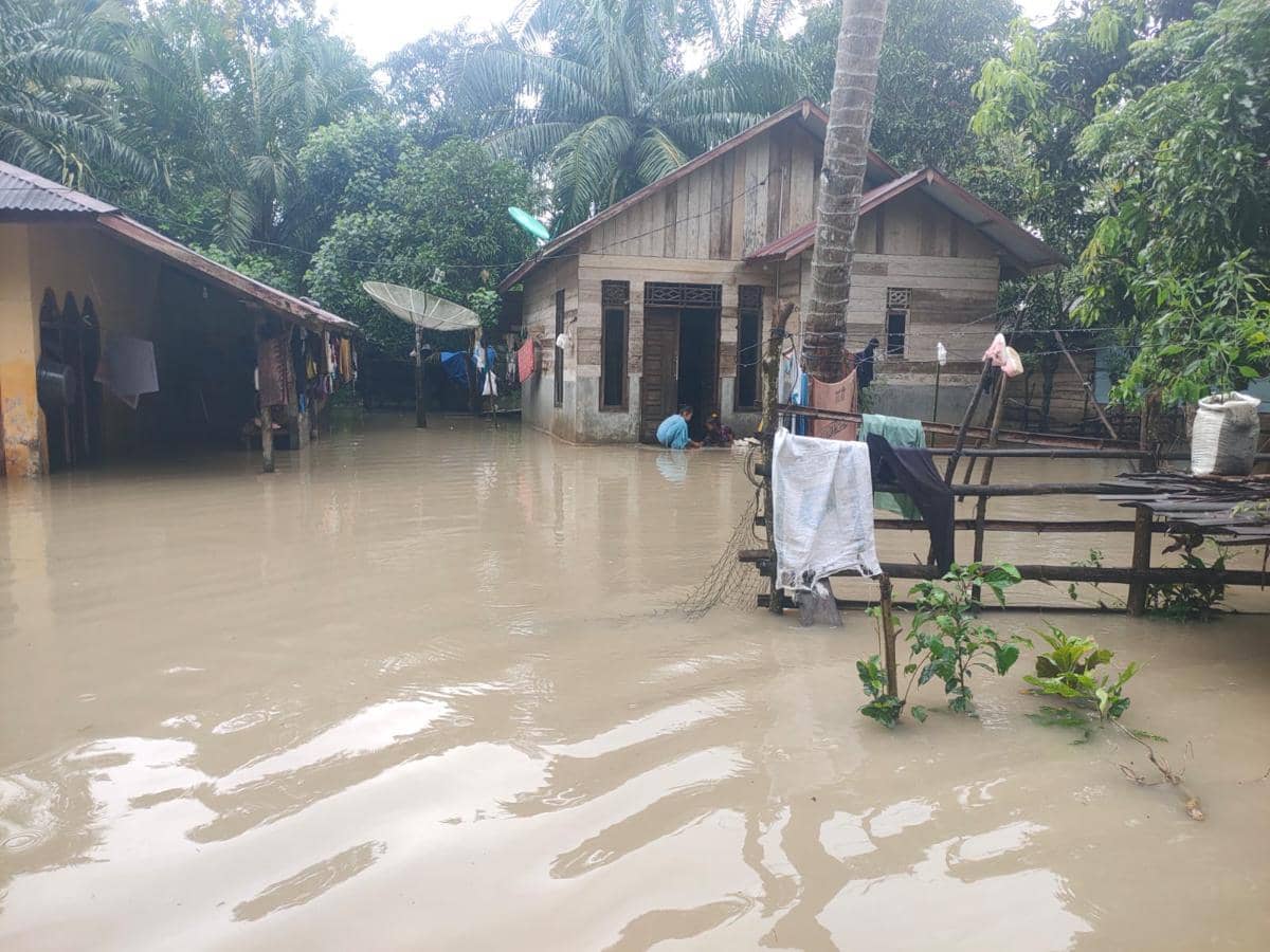 WhatsApp Image 2025-11-23 at 11.41.48 (1).jpeg