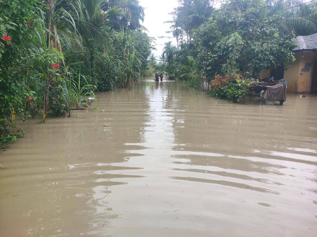 WhatsApp Image 2025-11-23 at 11.41.47.jpeg