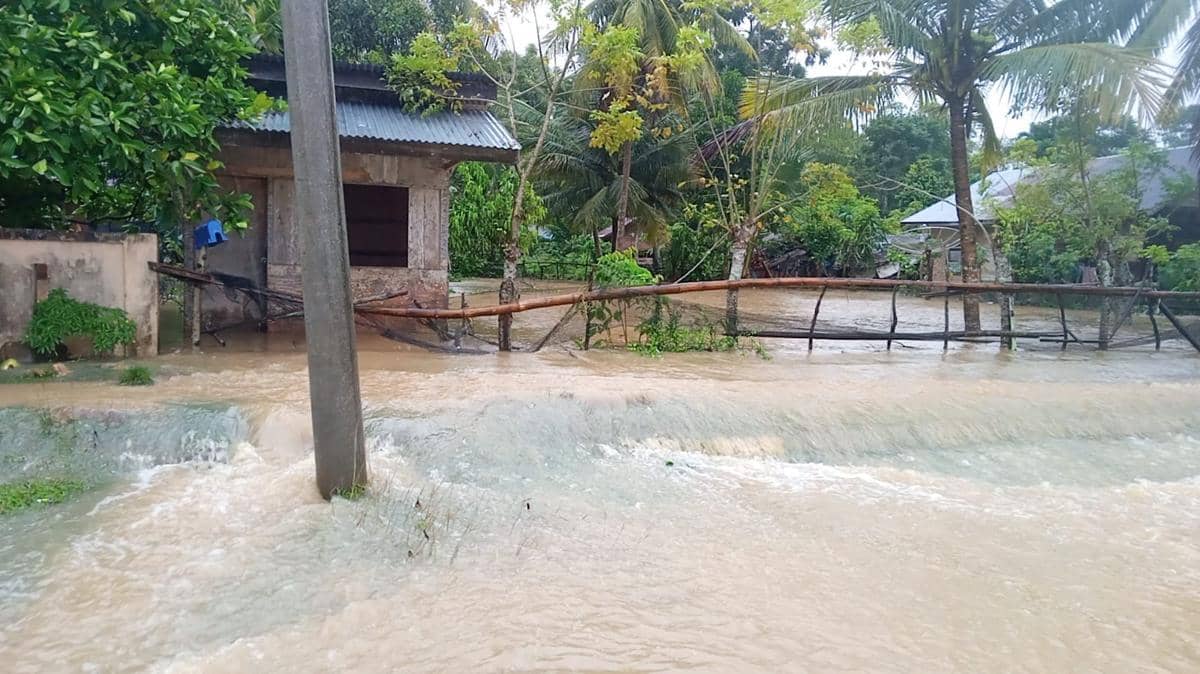 WhatsApp Image 2025-11-23 at 16.57.26.jpeg