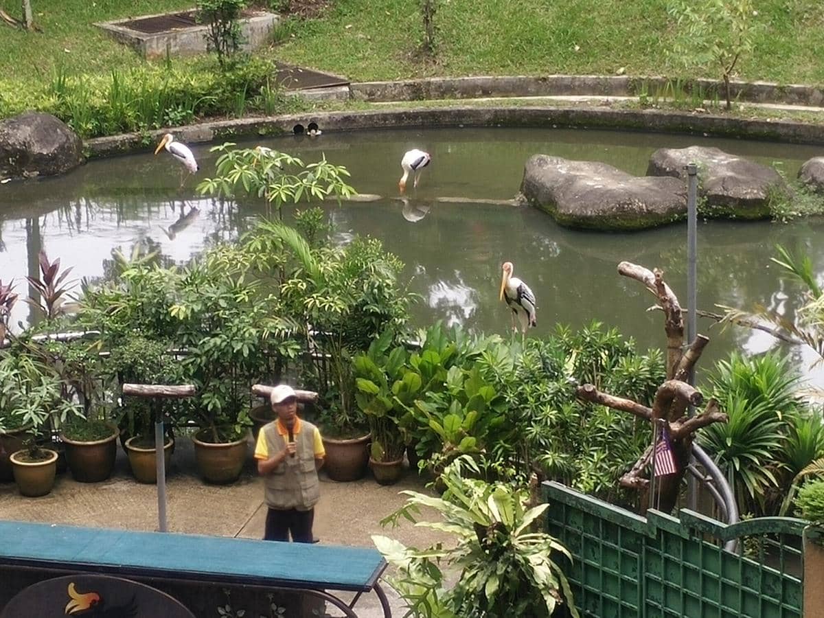 potret Kuala Lumpur Bird Park