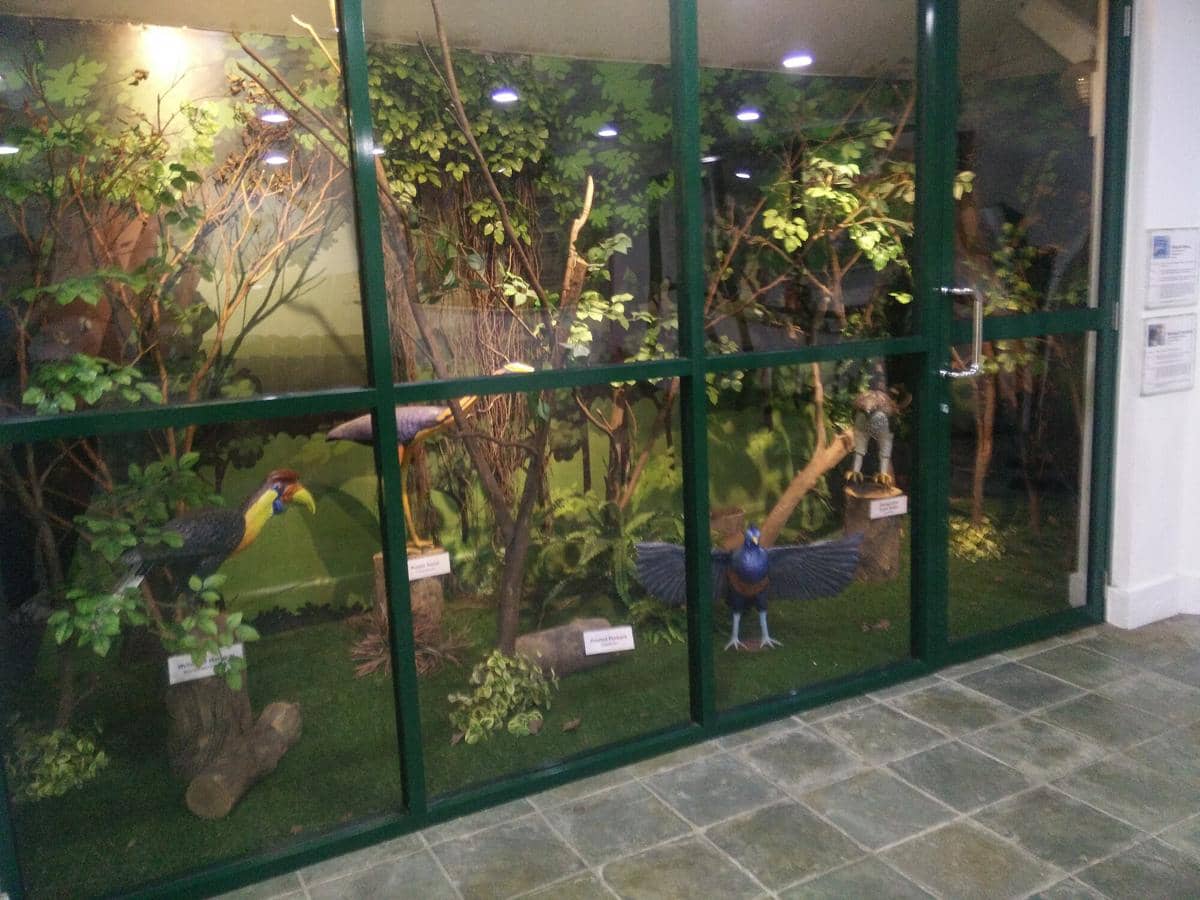 potret Kuala Lumpur Bird Park