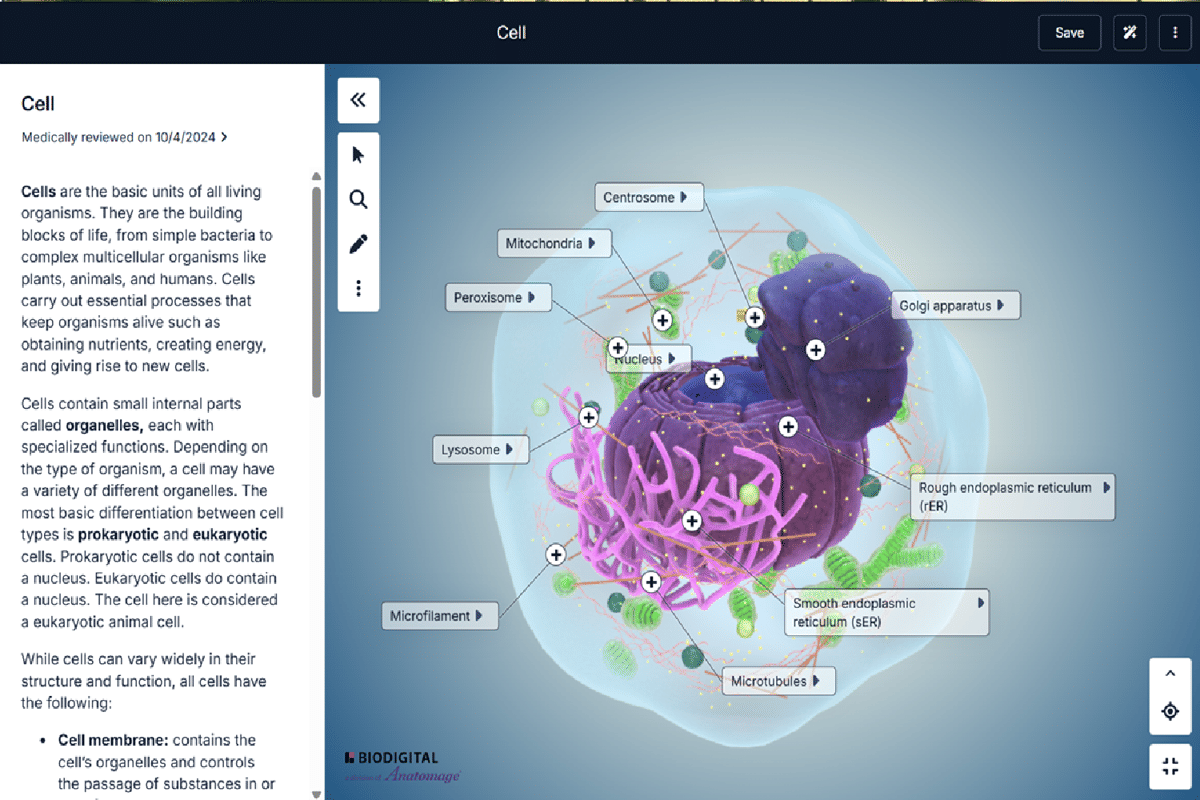 model interaktif sel manusia di BioDigital