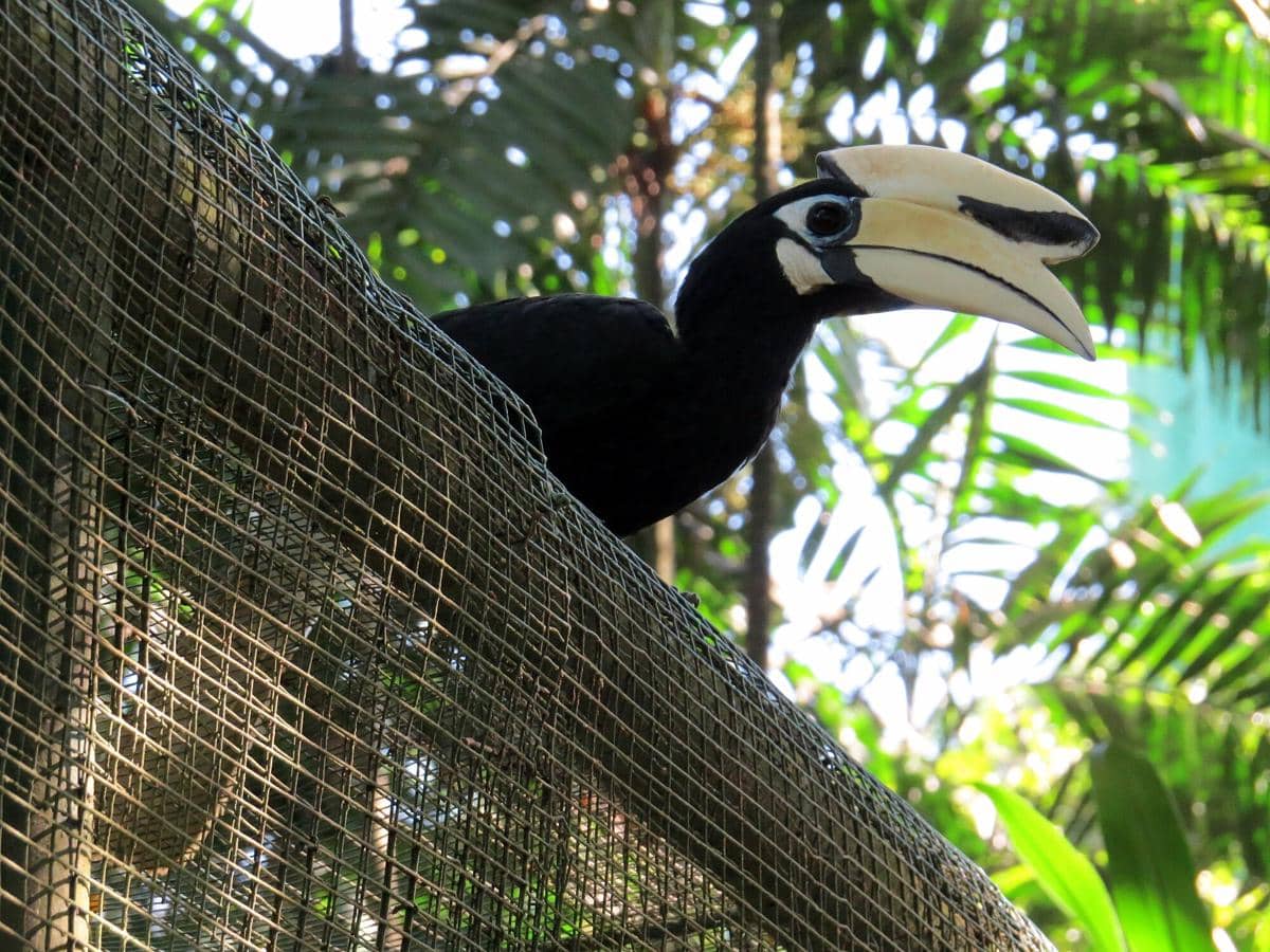 potret Kuala Lumpur Bird Park