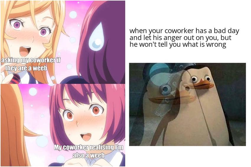 kolase meme kartun tentang rekan kerja