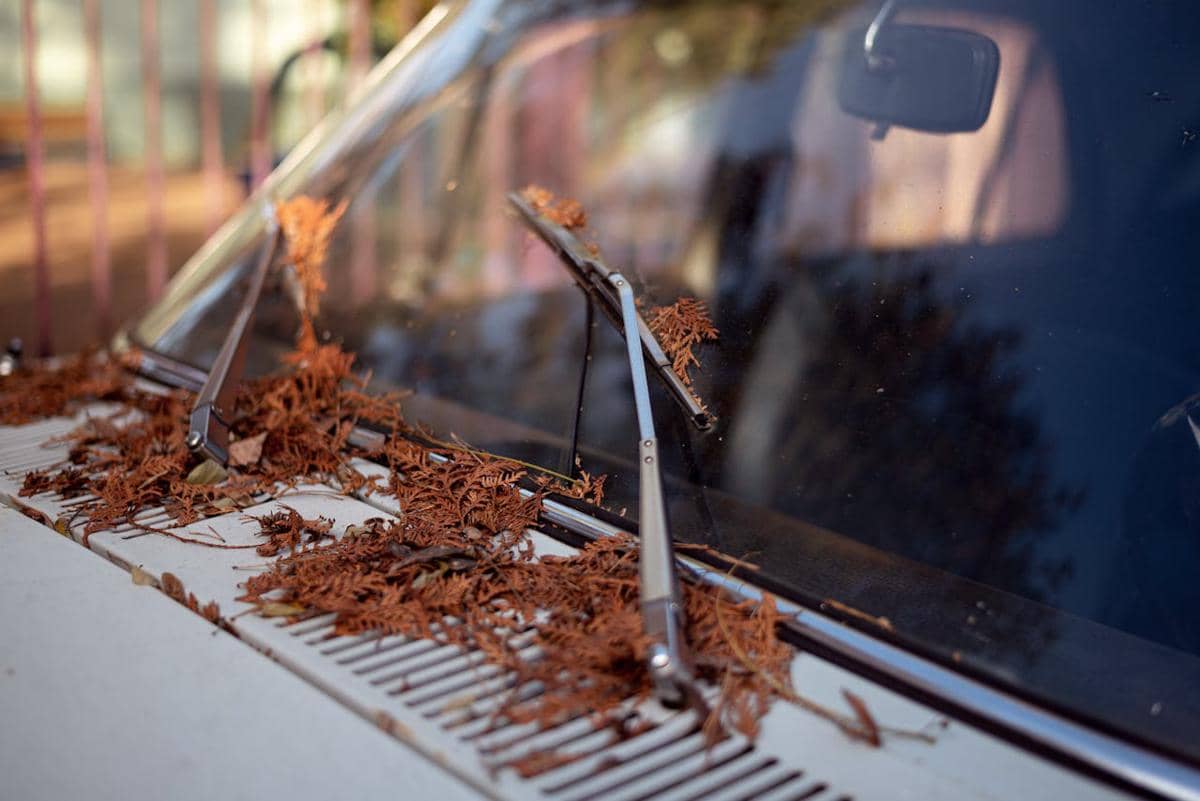 ilustrasi wiper mobil