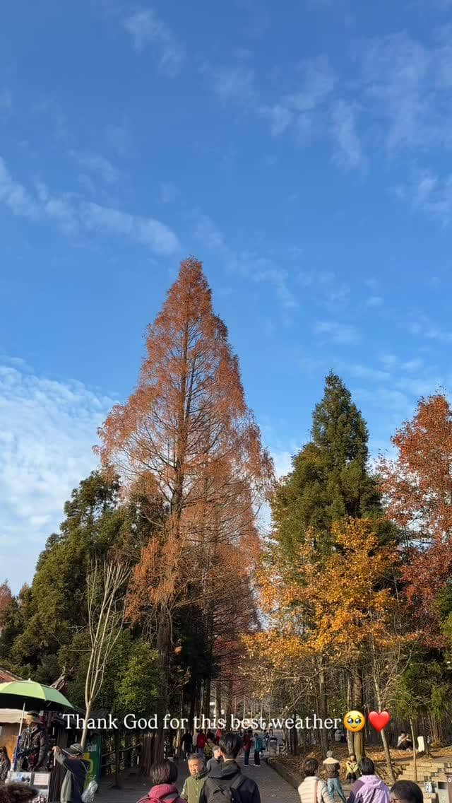 Shani Amelia berwisata ke Gunung Tianzi di China.