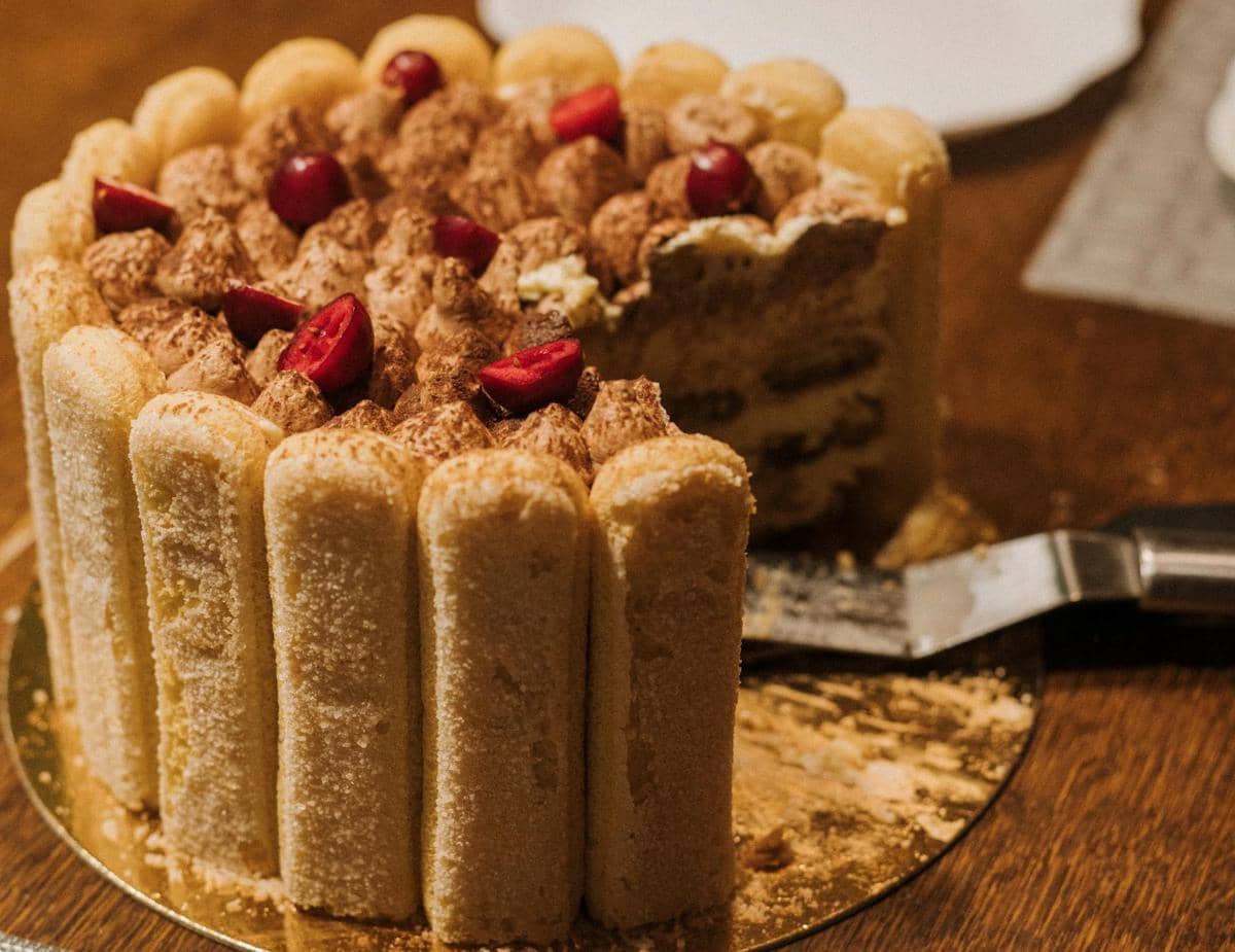 ilustrasi tiramisu cheesecake