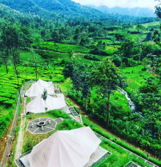 Gunung Mas Puncak Bogor Wisata Dekat Jakarta