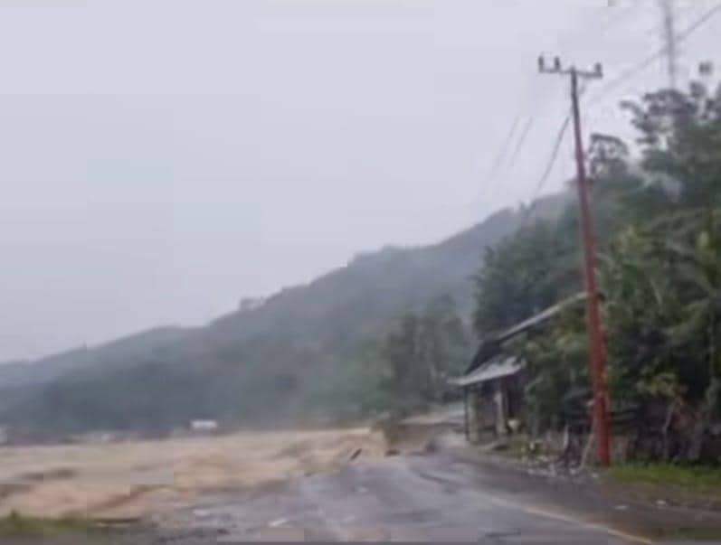 WhatsApp Image 2025-11-27 at 15.15.07.jpeg